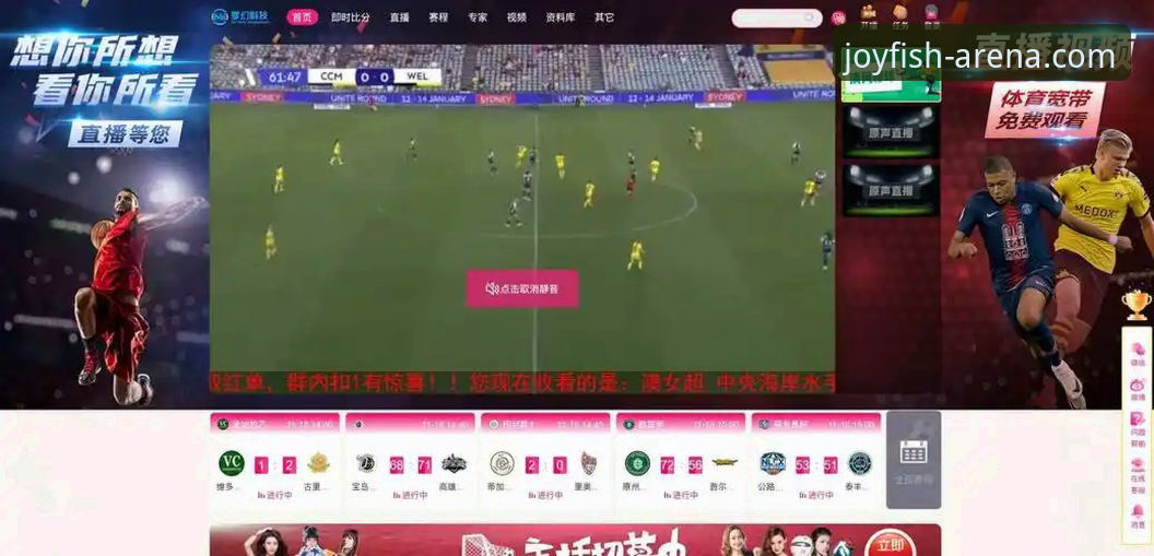 世界杯赛事入门教程：从民主刚果绝杀看体育直播平台的观赛新体验